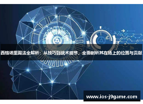 西格诺里踢法全解析：从技巧到战术细节，全面剖析其在场上的位置与贡献