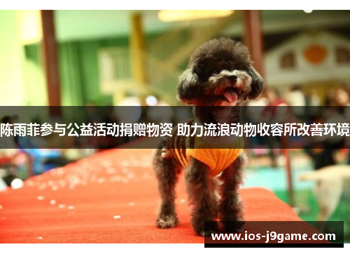 陈雨菲参与公益活动捐赠物资 助力流浪动物收容所改善环境