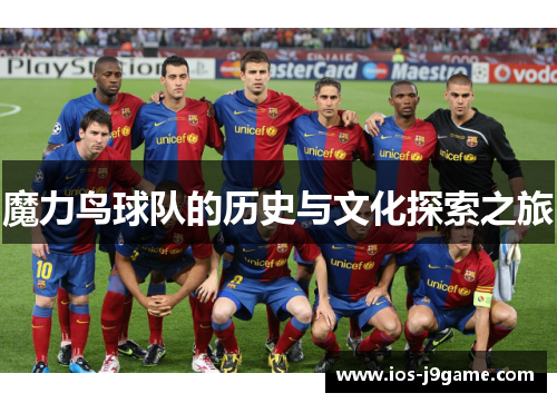 魔力鸟球队的历史与文化探索之旅 魔力鸟球队的历史与文化探索之旅