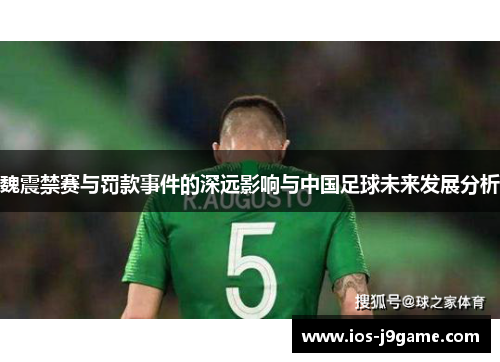 魏震禁赛与罚款事件的深远影响与中国足球未来发展分析