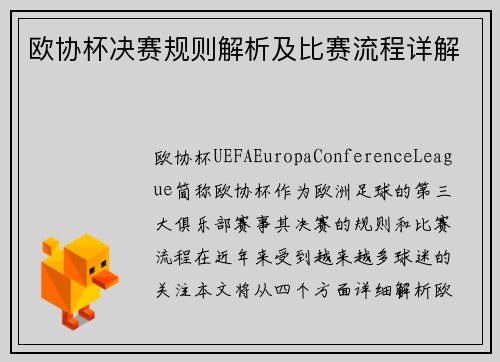 欧协杯决赛规则解析及比赛流程详解